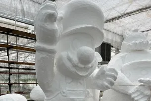 Blumencorso 2023 Bild 5